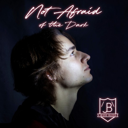 Not Afraid of the Dark album cover
